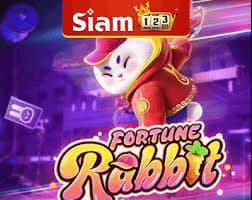 melhores horários para jogar fortune rabbit ícone